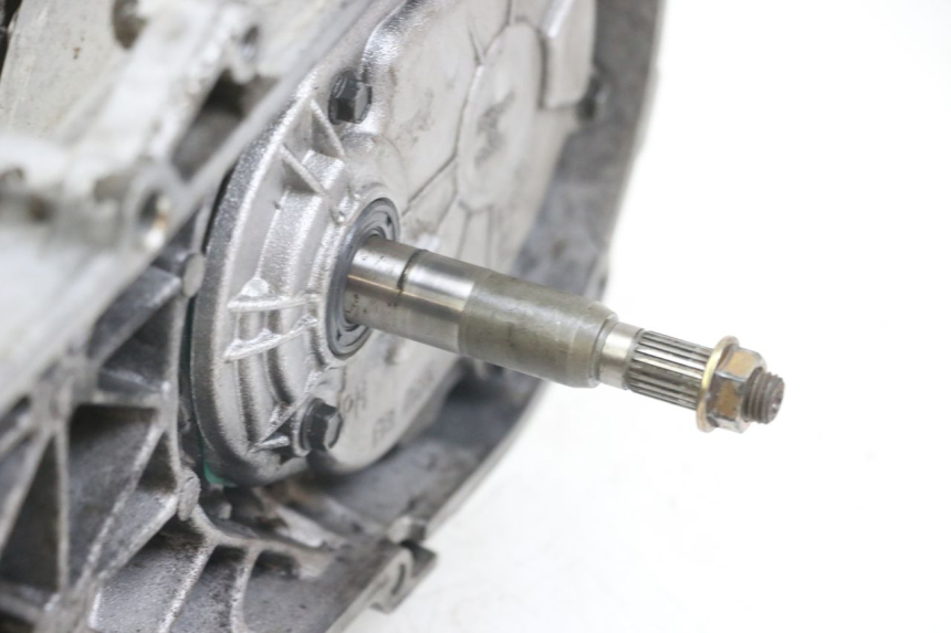 photo de MOTOR PEUGEOT TKR TREKKER FURIOUS 50 (2005 - 2014) - Zoom de qualidade