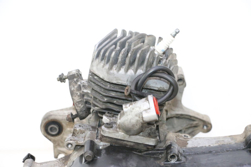 photo de MOTOR PEUGEOT TKR TREKKER FURIOUS 50 (2005 - 2014) - Zoom de qualidade