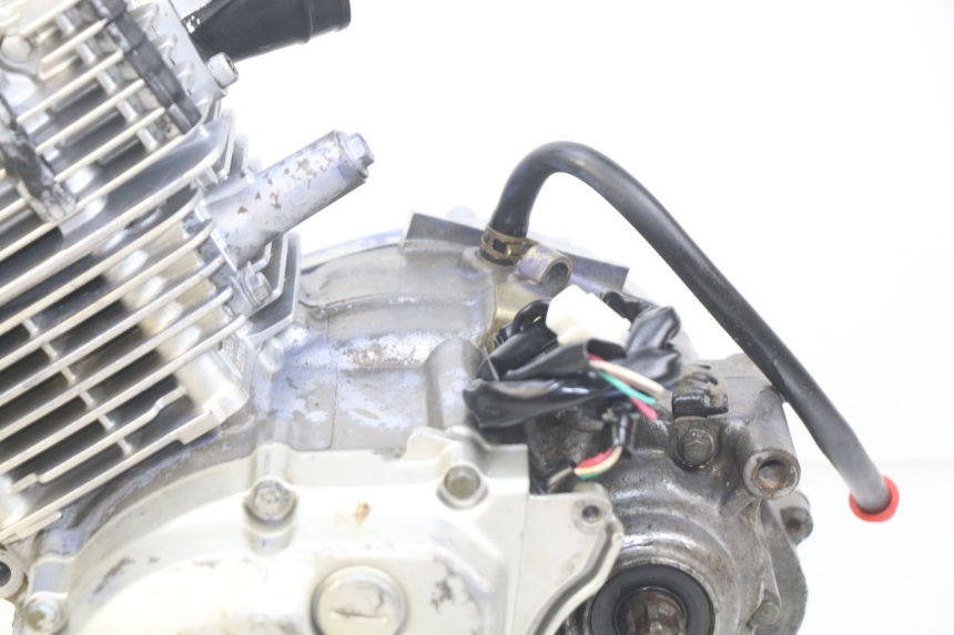 photo de MOTOR YAMAHA TTR 125 (2000 - 2020) - Zoom de qualidade