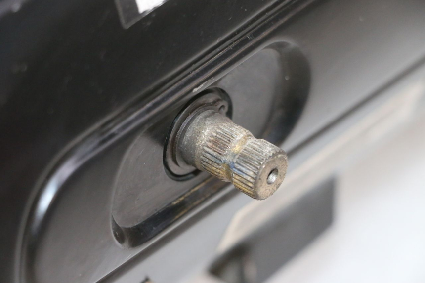 photo de MOTOR PEUGEOT TWEET 4T 50 (2018 - 2022) - Zoom de qualidade
