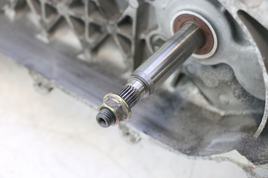photo de MOTOR PEUGEOT TWEET 4T 50 (2018 - 2022) - Detalhes característicos