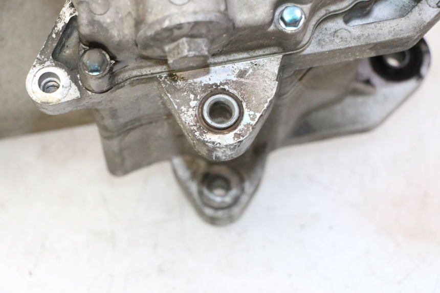 photo de MOTOR PEUGEOT TWEET PRO CARGO 50 (2018 - 2022) - Zoom de qualidade