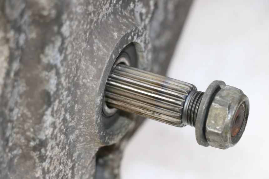 photo de MOTOR PEUGEOT TWEET PRO CARGO 50 (2018 - 2022) - Detalhe da peça