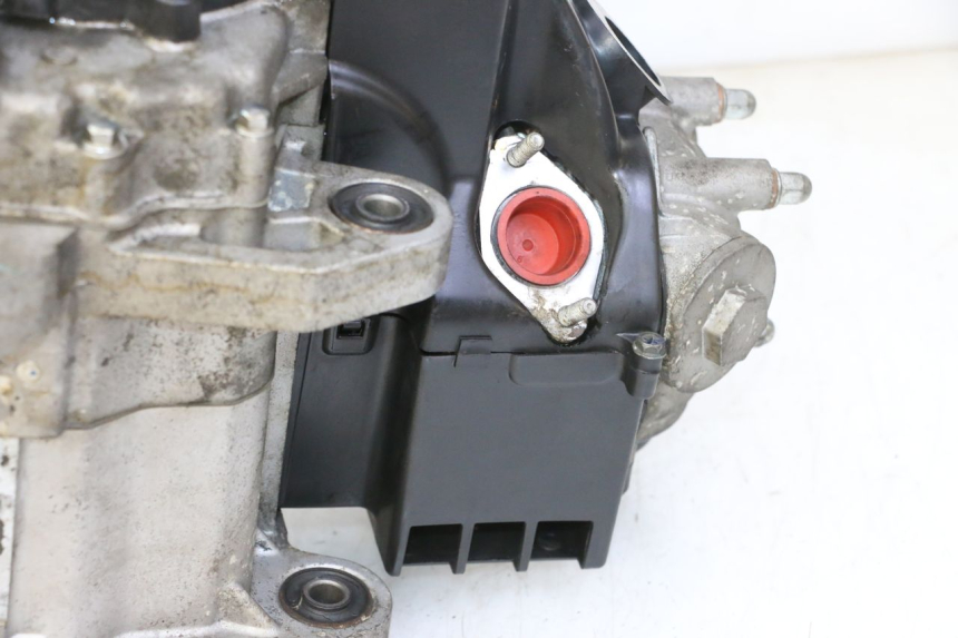 photo de MOTOR PEUGEOT TWEET PRO EFI 4T 50 (2021 - 2022) - Peça verificada