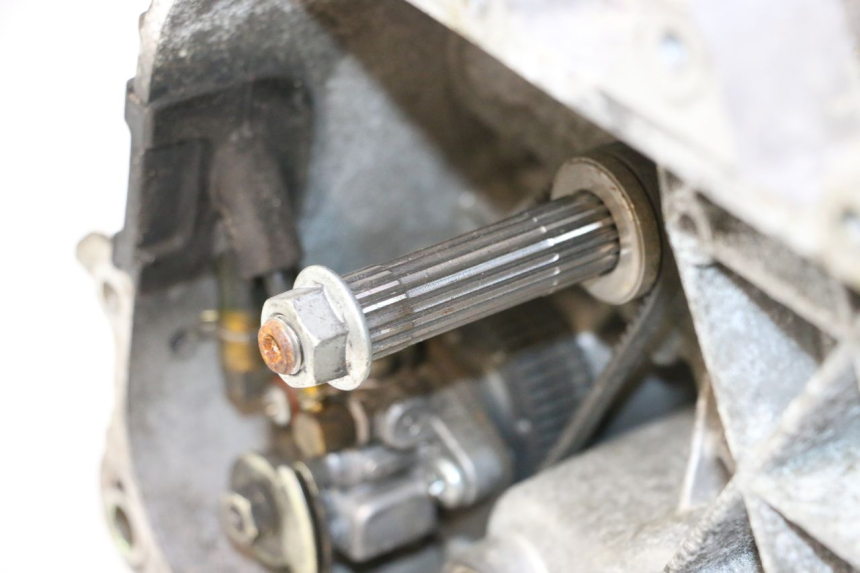 photo de MOTOR PIAGGIO TYPHOON 50 (2000 - 2009) - Detalhe da peça