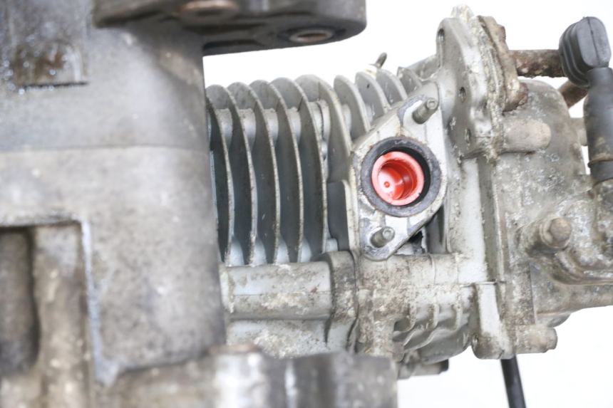 photo de MOTOR BEELINE VELOCE 4T 50 (2011 - 2020) - Detalhe da peça
