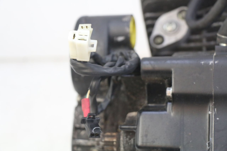 photo de MOTOR DAELIM VL DAYSTAR 125 (2000 - 2011) - Peça verificada