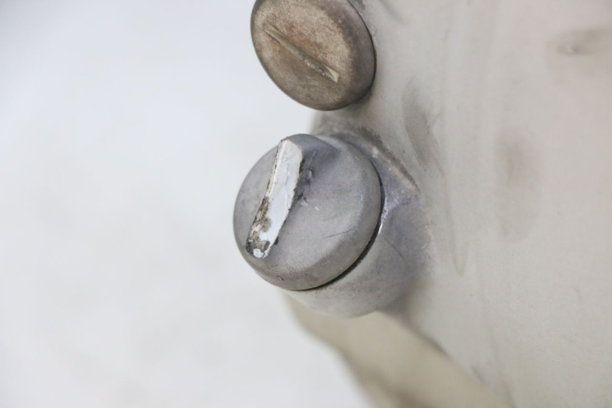 photo de MOTOR YAMAHA X-MAX XMAX ABS 250 (2010 - 2014) - Detalhe da peça