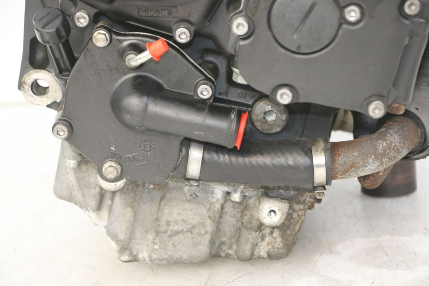 photo de MOTOR YAMAHA XJ6 ABS 600 (2008 - 2016) - Peça verificada