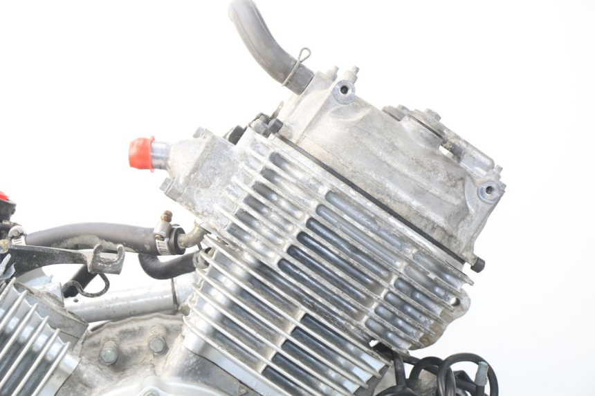 photo de MOTOR HONDA XLV VARADERO 125 (2000 - 2006) - Peça verificada