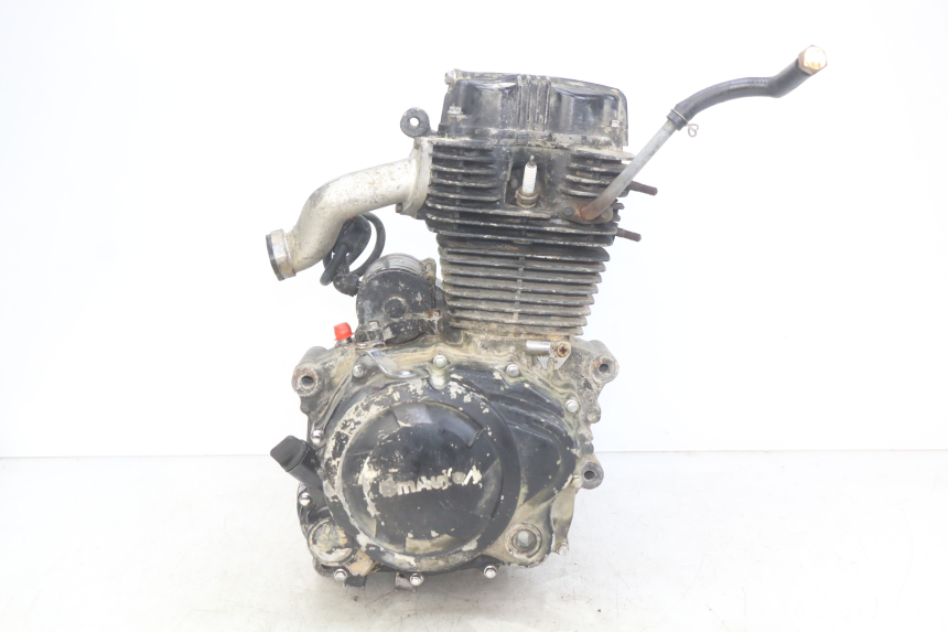 photo de MOTOR SHINERAY XY250 STXE 250 (2006 - 2012) - Peça verificada