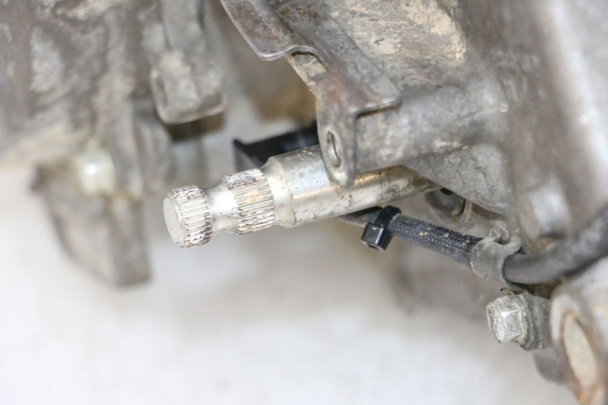 photo de MOTOR YAMAHA YFM R RAPTOR 250 (2008 - 2014) - Vista geral