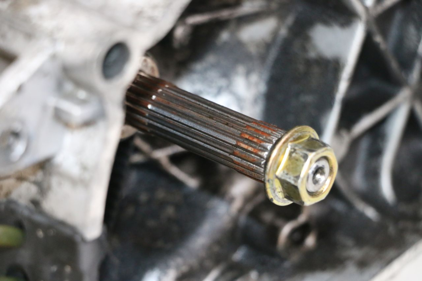 photo de MOTOR PIAGGIO ZIP 2T 50 (2009 - 2019) - Inspeção visual
