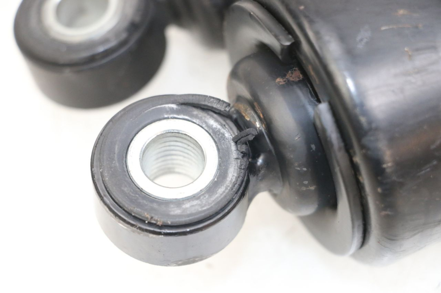 photo de PAR DE AMORTECEDORES TRASEIROS HARLEY DAVIDSON SPORTSTER XL CUSTOM 1200 (2003 - 2004) - Detalhes característicos