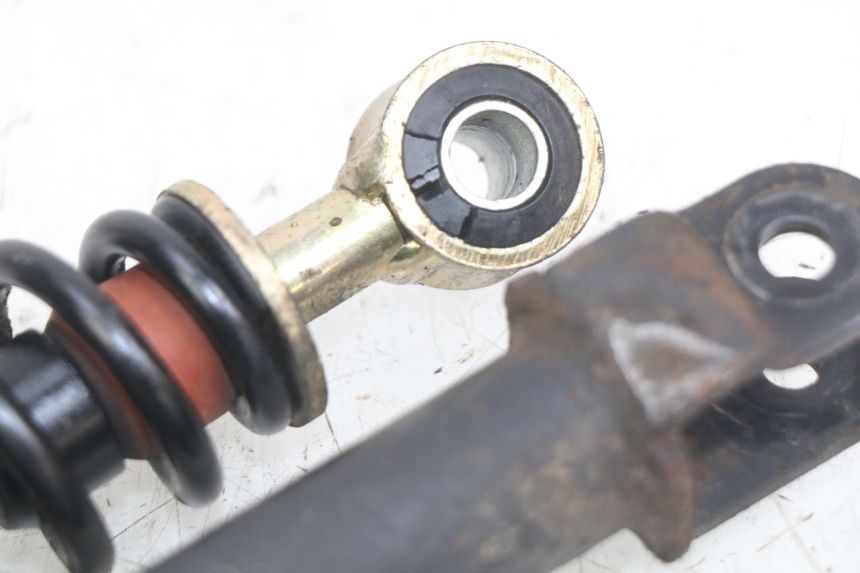 photo de PAR DE AMORTECEDORES TRASEIROS PEUGEOT SV 125 (1991 - 1994) - Zoom do estado de desgaste