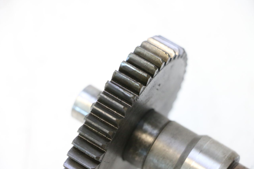 photo de ENGRENAGEM DE TRANSMISSÃO PEUGEOT LUDIX ONE 14P 50 (2004 - 2013) - Zoom do estado de desgaste