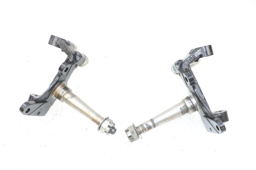 photo de PIVÔ DE SUSPENSÃO YAMAHA YFM R RAPTOR 250 (2008 - 2014) - Vista principal