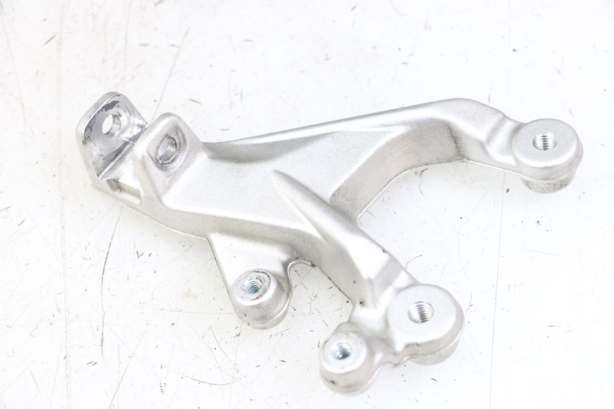 photo de SUPORTE DO DESCANSO DE PÉ DIANTEIRO ESQUERDO BMW S RR ABS S1000RR 1000 (2015 - 2018) - Vista principal