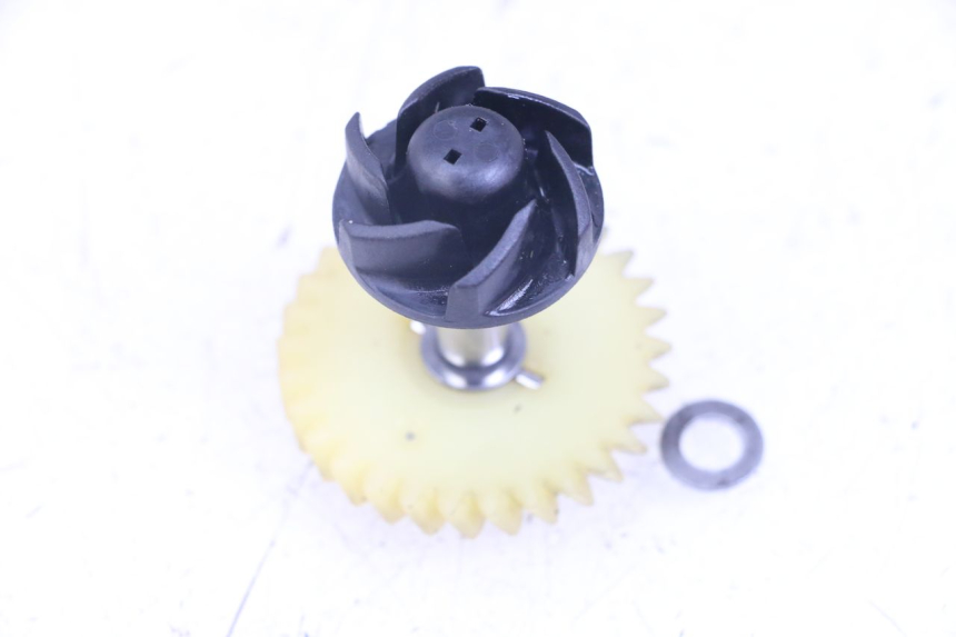 photo de BOMBA DE ÁGUA FANTIC XM PERFORMANCE 2T 50 (2021 - 2022) - Detalhe da peça
