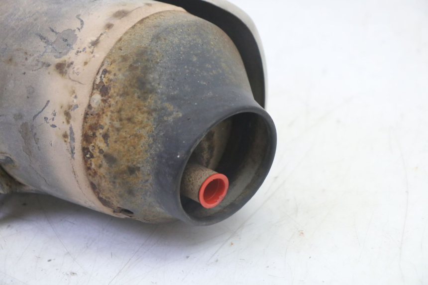 photo de SILENCIADOR HONDA FES S-WING SWING ABS 125 (2007 - 2015) - Detalhes característicos