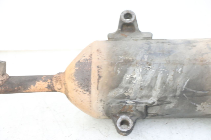 photo de SILENCIADOR HONDA FES S-WING SWING ABS 125 (2007 - 2015) - Detalhes característicos