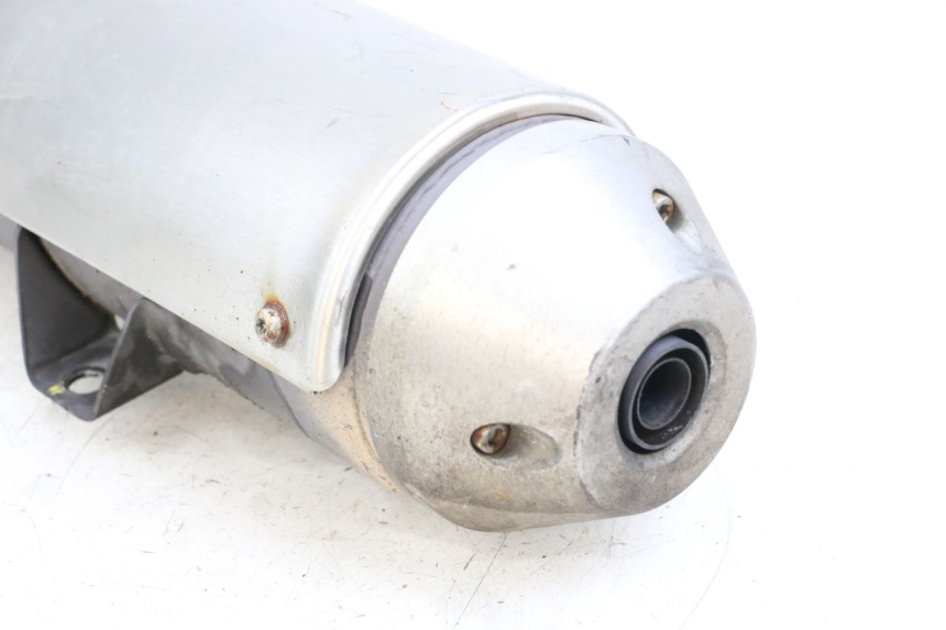 photo de SILENCIADOR PEUGEOT GEOPOLIS RS 125 (2007 - 2009) - Vista geral