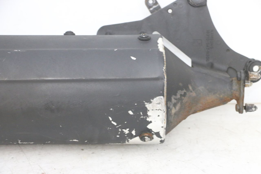 photo de SILENCIADOR DE ESCAPE DAELIM S1 125 (2007 - 2016) - Detalhes característicos