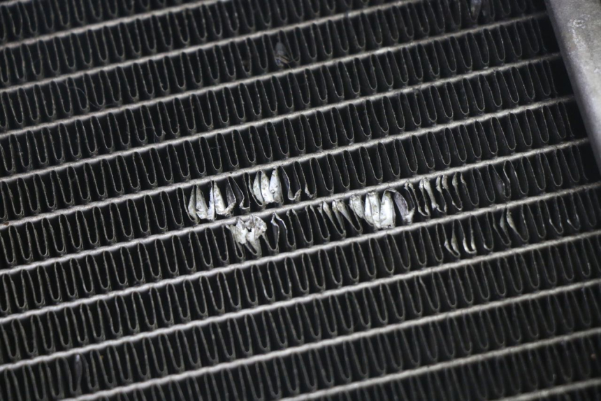photo de RADIADOR ADIVA AD3 300 (2014 - 2020) - Detalhe da peça