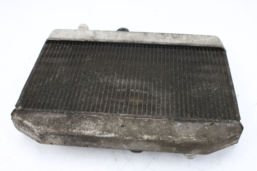 photo de RADIADOR SUZUKI AN BURGMAN 400 (2006 - 2010) - Zoom do estado de desgaste