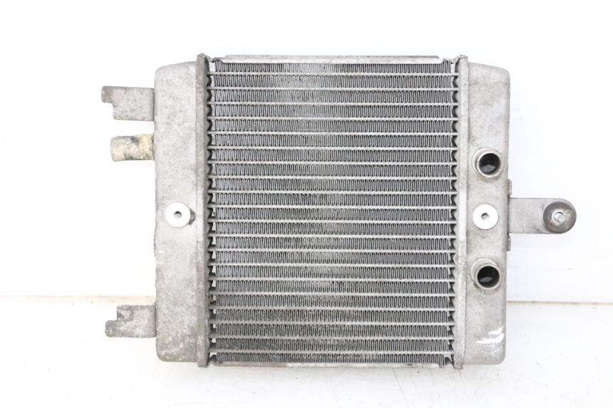 photo de RADIADOR SUZUKI BURGMAN 125 (2007 - 2014) - Vista principal