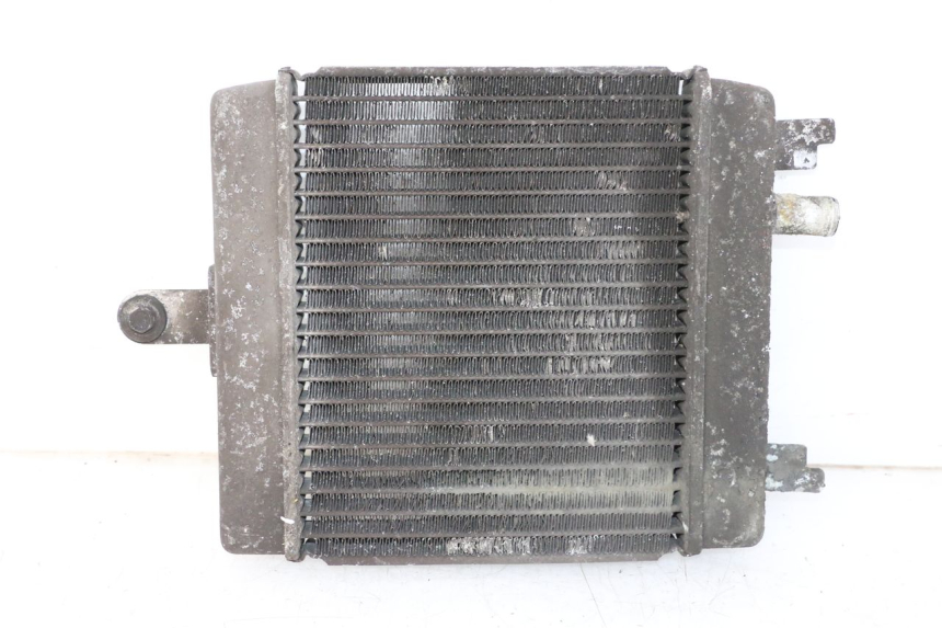 photo de RADIADOR SUZUKI BURGMAN 125 (2007 - 2014) - Detalhe da peça
