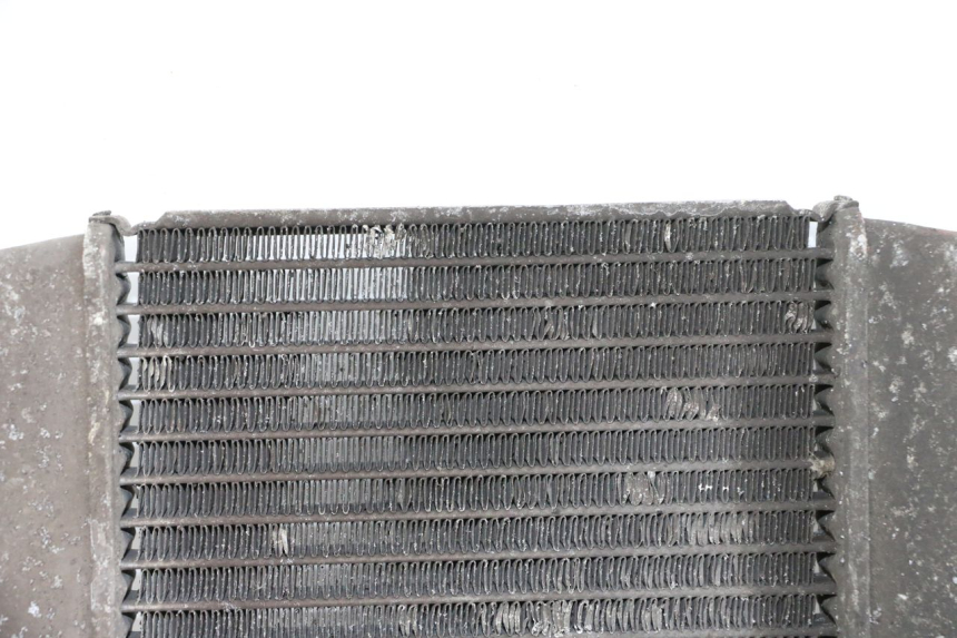 photo de RADIADOR SUZUKI BURGMAN 125 (2007 - 2014) - Detalhes característicos