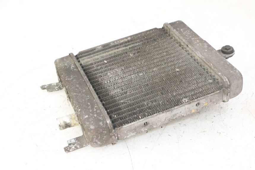photo de RADIADOR SUZUKI BURGMAN 125 (2007 - 2014) - Ampliação técnica