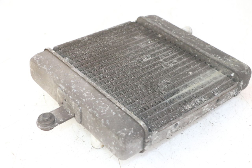 photo de RADIADOR SUZUKI BURGMAN 125 (2007 - 2014) - Vista geral