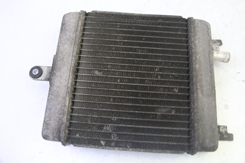 photo de RADIADOR SUZUKI BURGMAN 125 (2007 - 2014) - Vista geral