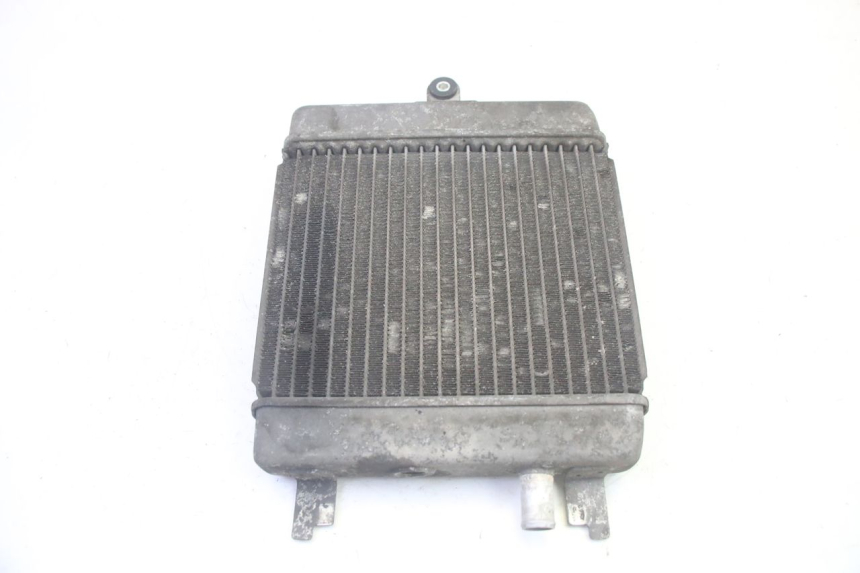 photo de RADIADOR SUZUKI BURGMAN 125 (2007 - 2014) - Vista do produto