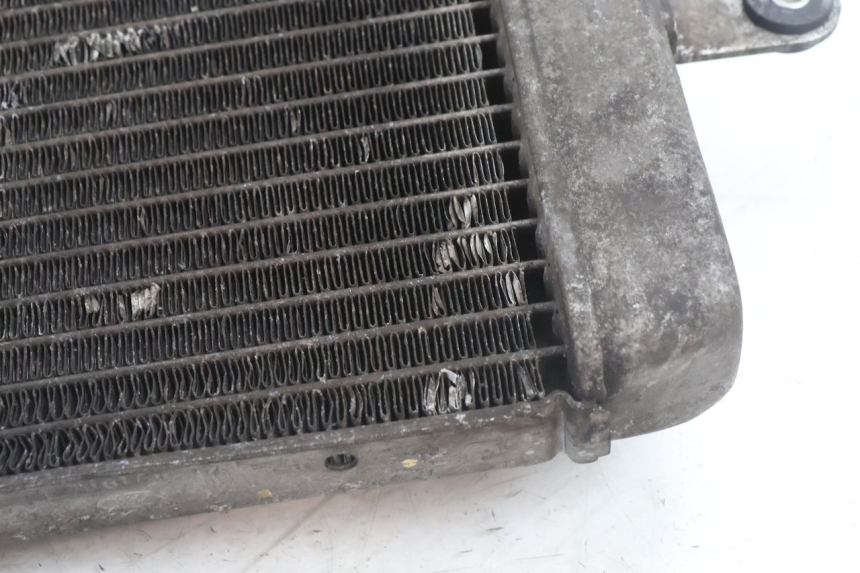 photo de RADIADOR SUZUKI BURGMAN 125 (2007 - 2014) - Detalhes característicos