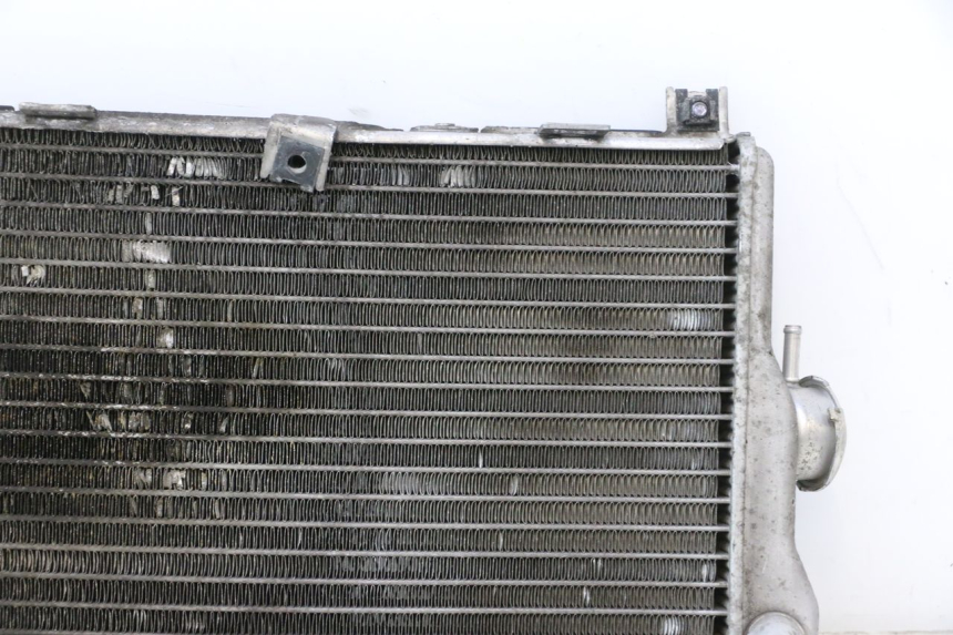 photo de RADIADOR SUZUKI BURGMAN EXECUTIVE ABS 650 (2006 - 2012) - Detalhes característicos