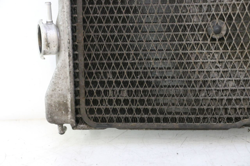 photo de RADIADOR SUZUKI BURGMAN EXECUTIVE ABS 650 (2006 - 2012) - Ângulo alternativo