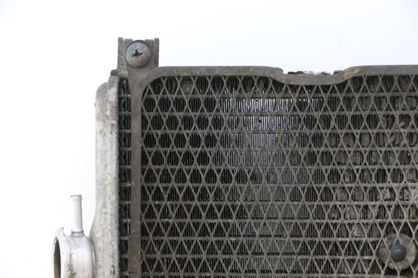 photo de RADIADOR SUZUKI BURGMAN EXECUTIVE ABS 650 (2006 - 2012) - Zoom de qualidade