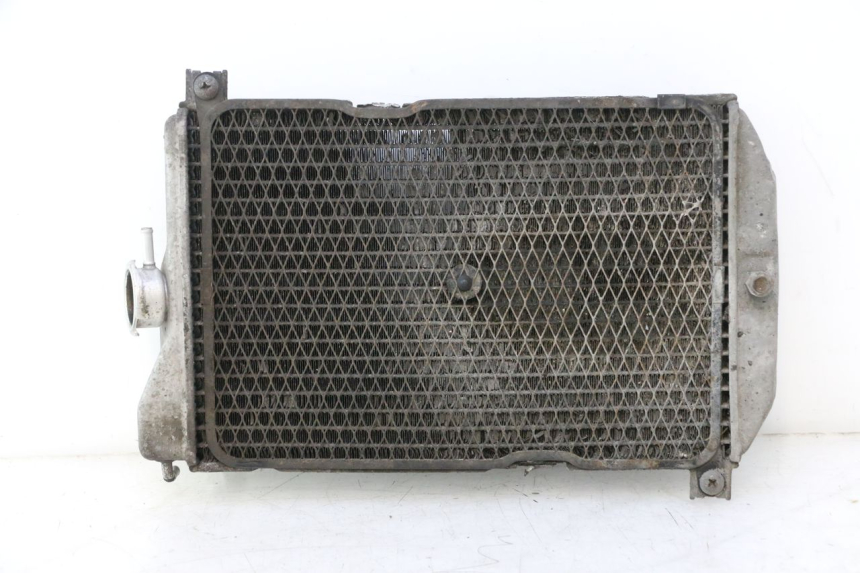 photo de RADIADOR SUZUKI BURGMAN EXECUTIVE ABS 650 (2006 - 2012) - Vista de perfil