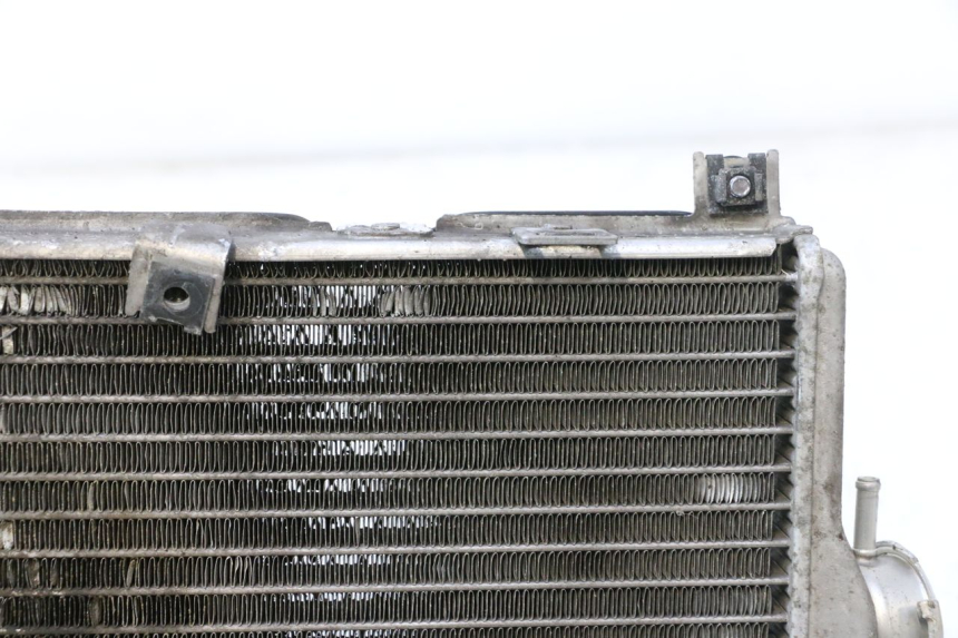 photo de RADIADOR SUZUKI BURGMAN EXECUTIVE ABS 650 (2006 - 2012) - Zoom do estado de desgaste