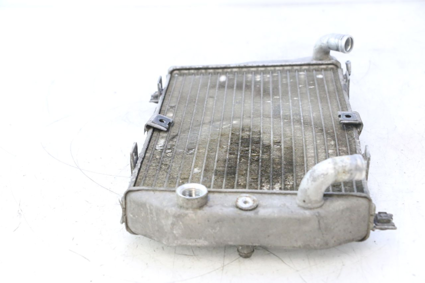 photo de RADIADOR SUZUKI BURGMAN EXECUTIVE ABS 650 (2006 - 2012) - Estado da superfície