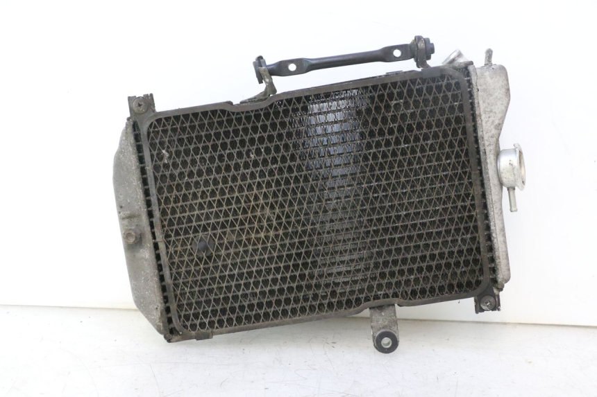 photo de RADIADOR SUZUKI BURGMAN EXECUTIVE ABS 650 (2006 - 2012) - Vista principal