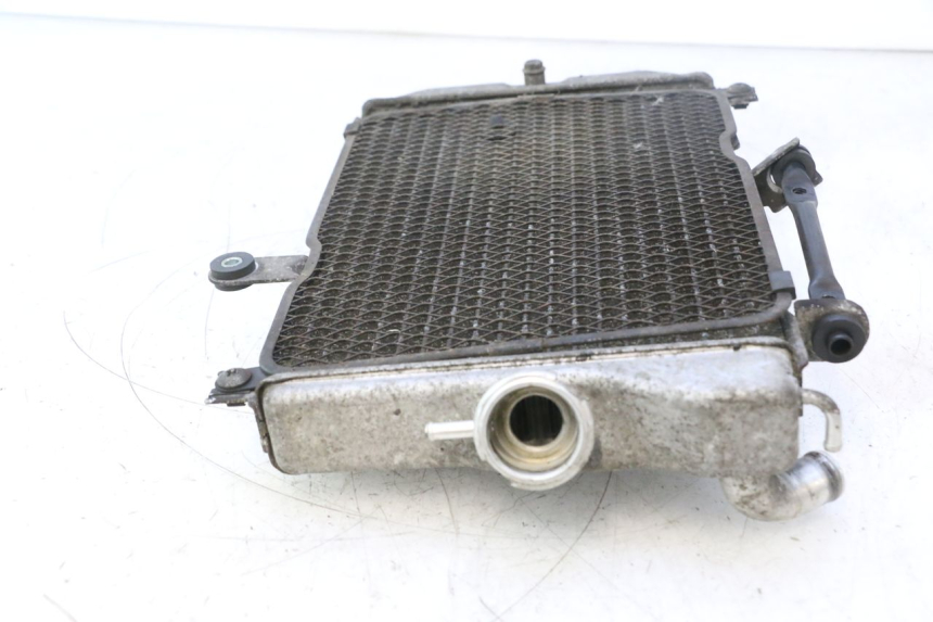 photo de RADIADOR SUZUKI BURGMAN EXECUTIVE ABS 650 (2006 - 2012) - Vista do produto
