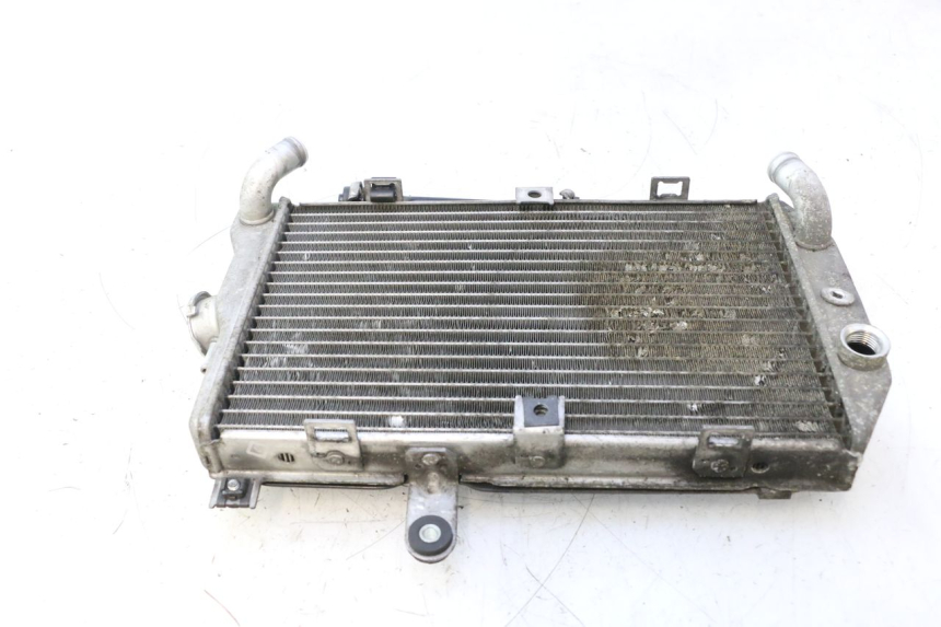 photo de RADIADOR SUZUKI BURGMAN EXECUTIVE ABS 650 (2006 - 2012) - Detalhes característicos