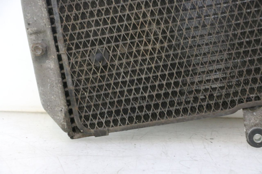 photo de RADIADOR SUZUKI BURGMAN EXECUTIVE ABS 650 (2006 - 2012) - Zoom do estado de desgaste