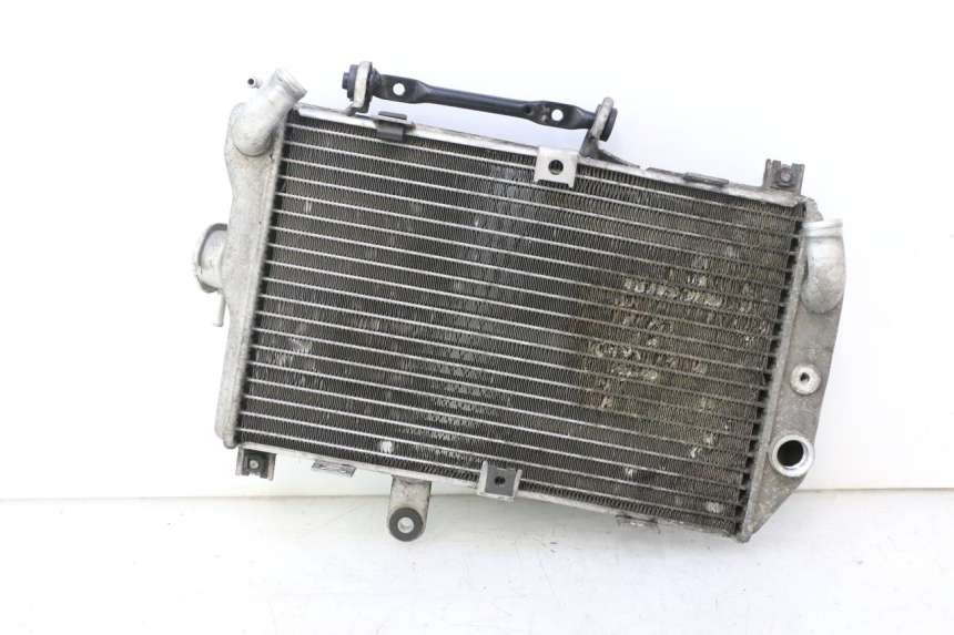 photo de RADIADOR SUZUKI BURGMAN EXECUTIVE ABS 650 (2006 - 2012) - Vista geral
