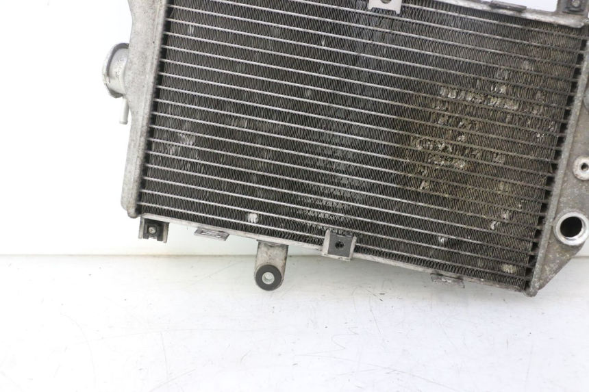 photo de RADIADOR SUZUKI BURGMAN EXECUTIVE ABS 650 (2006 - 2012) - Peça verificada