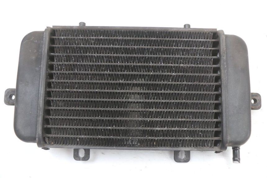 photo de RADIADOR BMW C1 125 (2000 - 2003) - Detalhe da peça